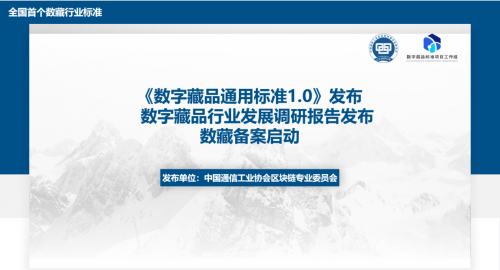 全国首个“数字藏品通用标准”在南京中国区块链金融创新发展大会上发布